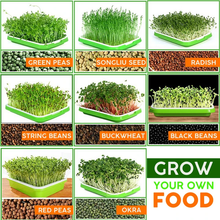 Load image into Gallery viewer, Sprout Lovers - Double-Layer Seedling Tray