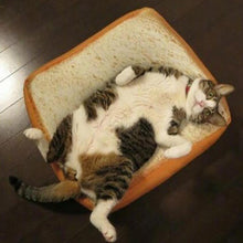Load image into Gallery viewer, Purrfect Cat Sandwich
