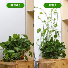 Load image into Gallery viewer, Live It Green - Flower Hanging Wall Clips (30 pcs set)
