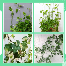 Load image into Gallery viewer, Live It Green - Flower Hanging Wall Clips (30 pcs set)
